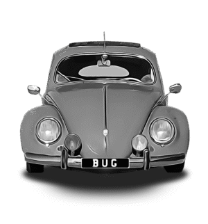 Beetle