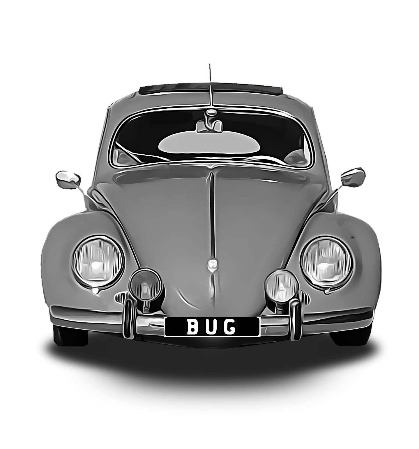 Beetle Panels and Body Parts