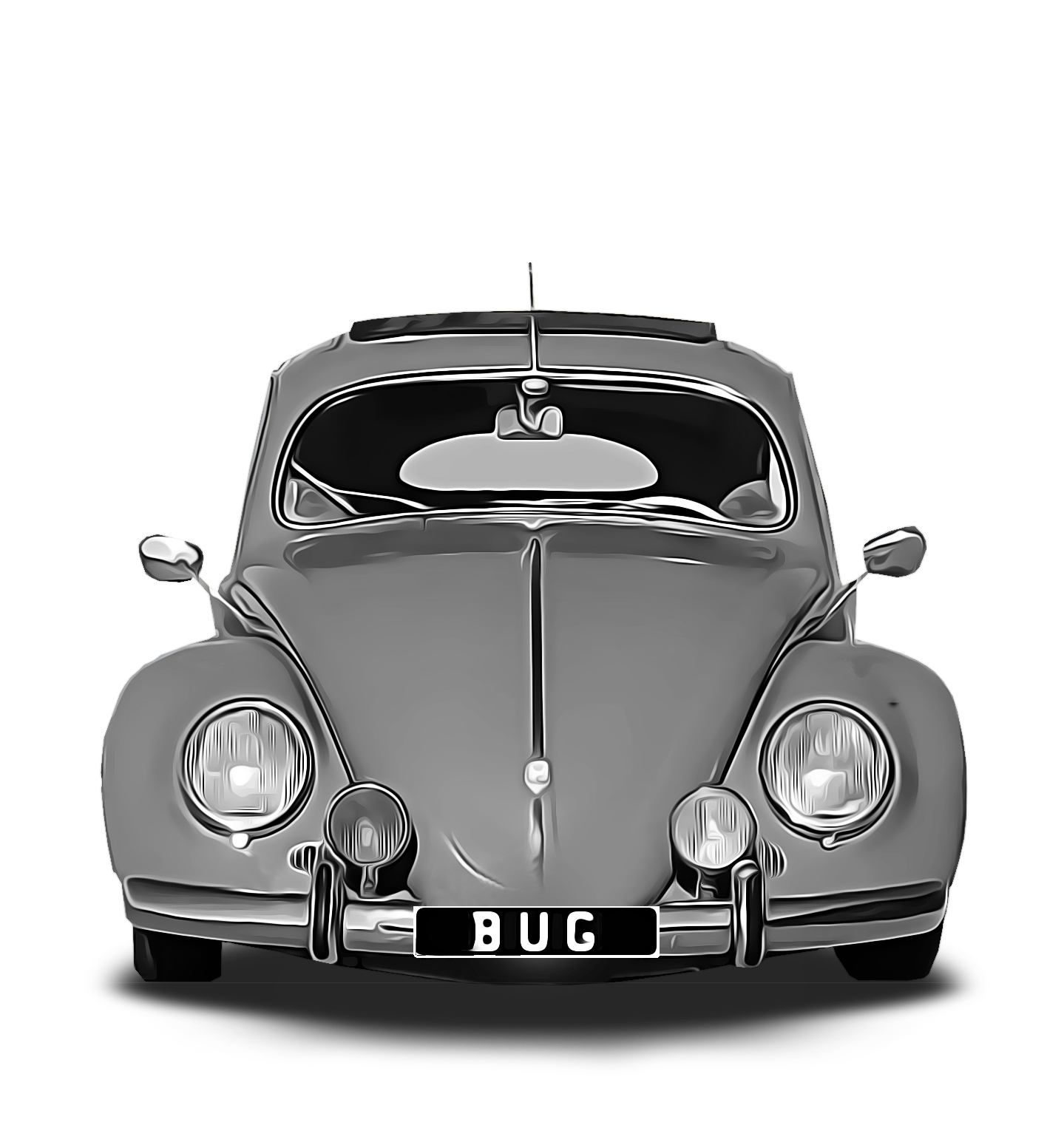 Beetle